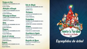 Encendido del árbol 2019